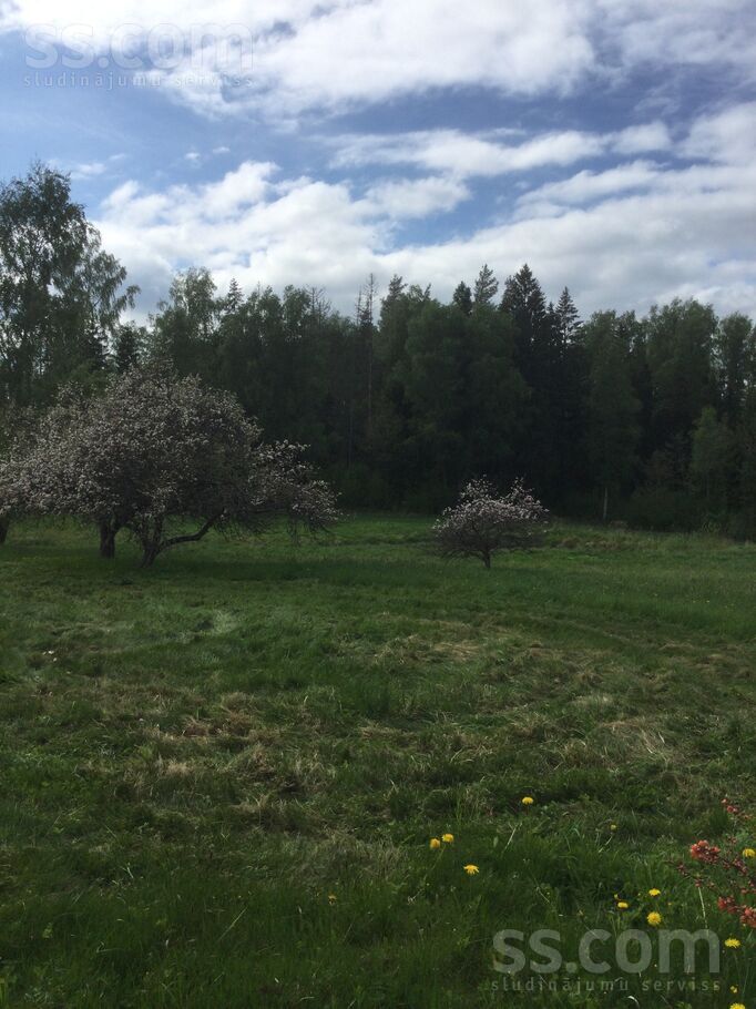 Āraiši, Cēsis un raj., Drabešu pag. — zeme