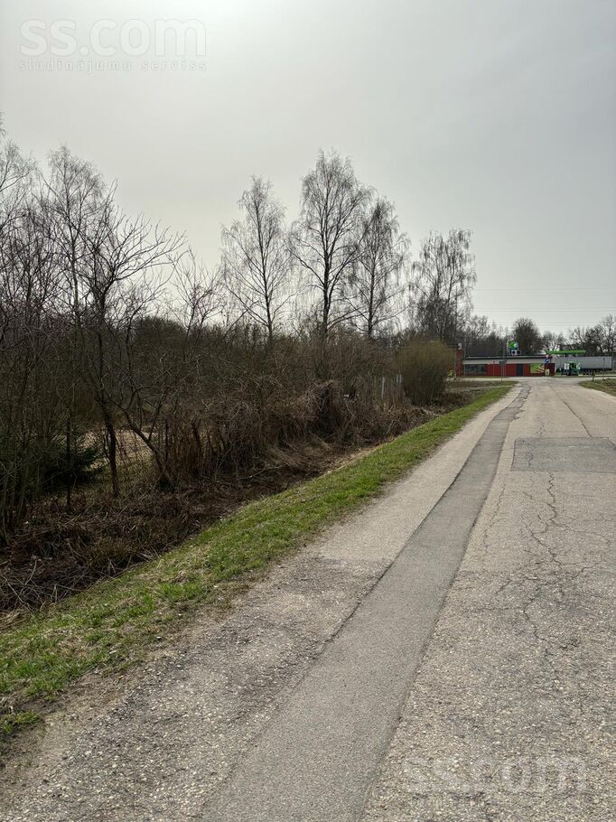 Rīgas iela, Rīgas rajons, Olaine — zeme