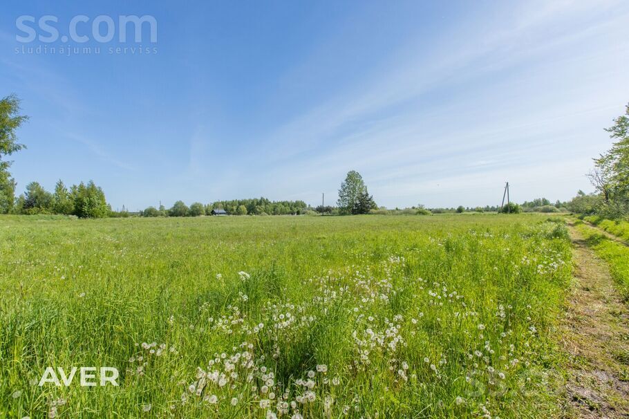 Jaungrīvas, Gātciems, Rīgas rajons, Salas pag. — zeme