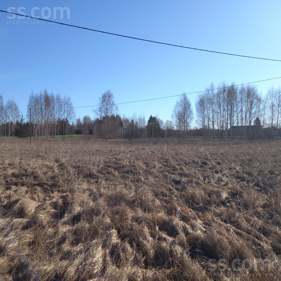 Net 1, Daugavpils un raj., Maļinovas pag. — zeme