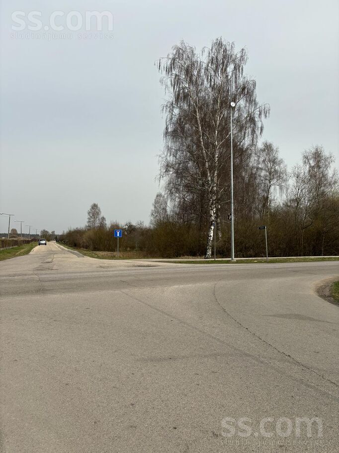 Rīgas iela, Rīgas rajons, Olaine — zeme