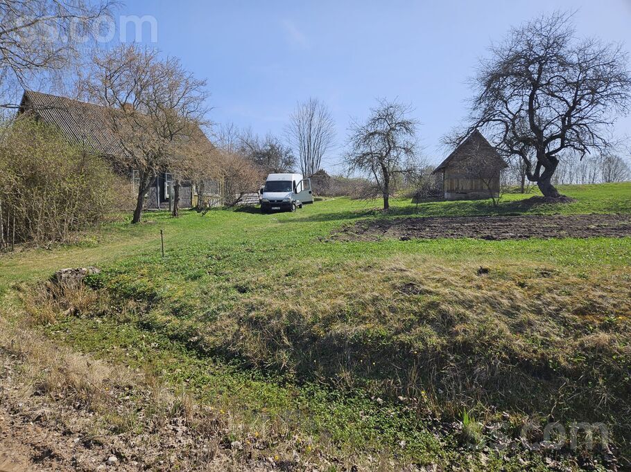 Belogrudova, Krāslava un raj., Grāveru pag. — vienseta