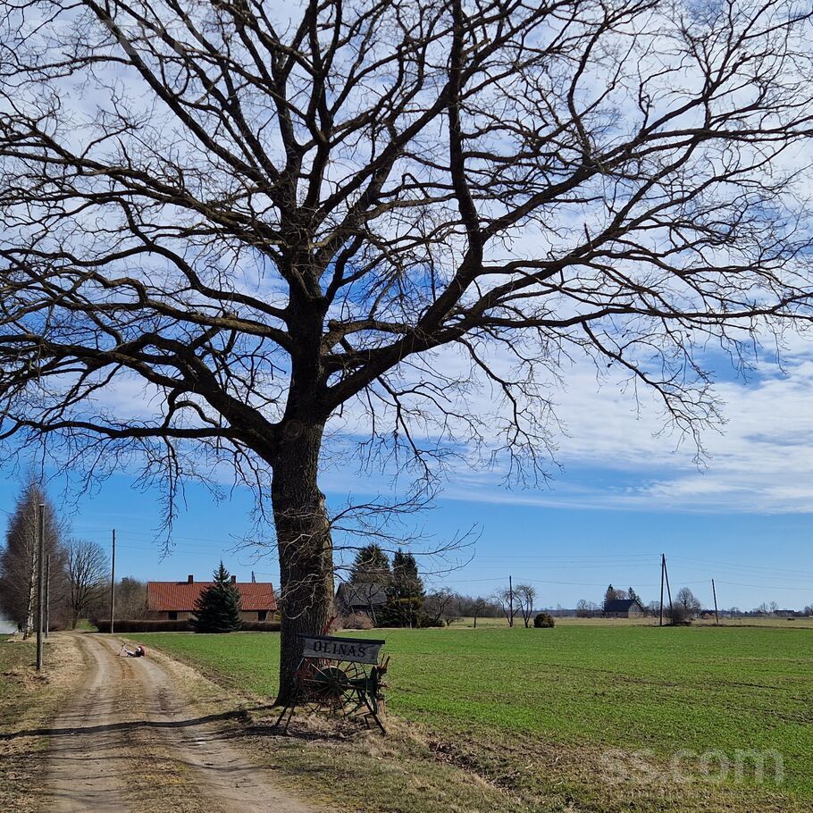 Vandzene, Talsi un raj., Vandzenes pag. — vienseta
