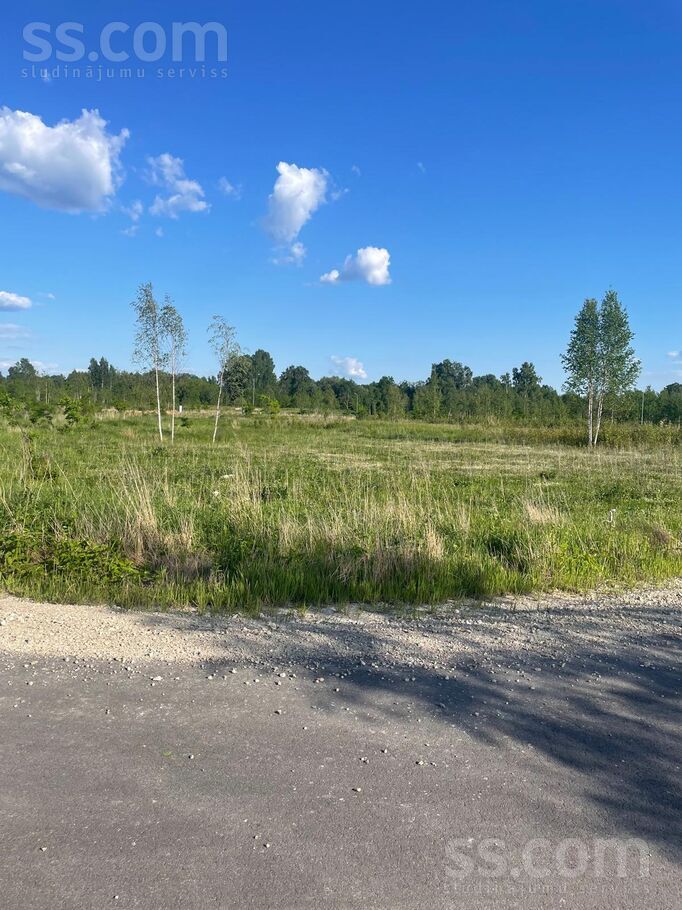 Kristapa iela, Ielejas, Rīgas rajons, Olaines pag. — zeme