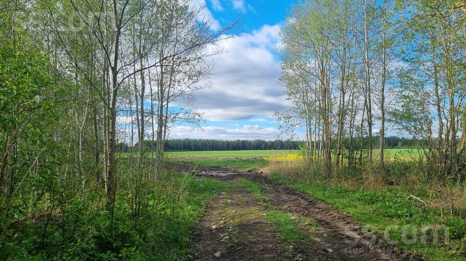 Medņi, Līkupēni, Saldus un raj., Rubas pag. — zeme