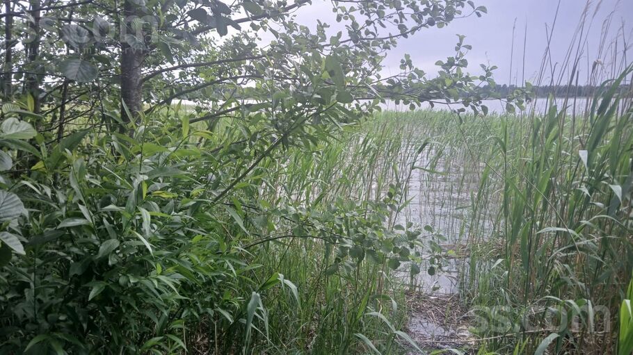 Krāslava un raj., Kastuļinas pag. — vienseta
