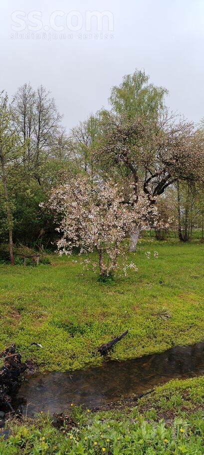 Platone, Jelgava un raj., Platones pag. — vienseta