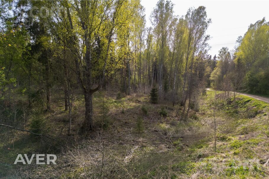 Koku iela 2, Cēsis un raj., Cēsis — zeme