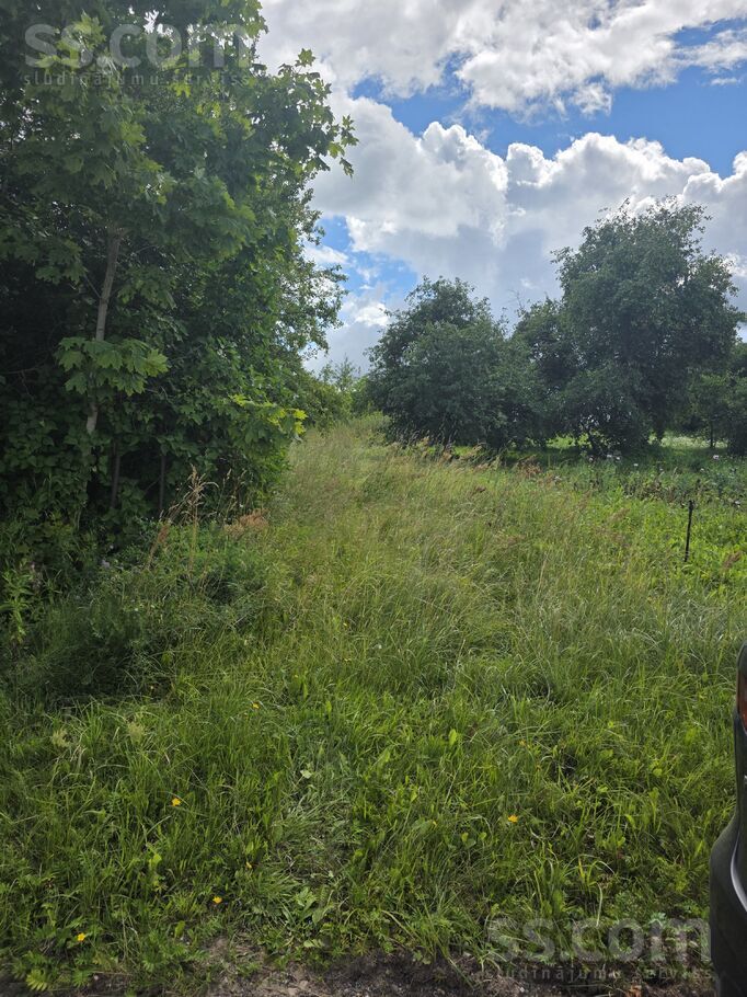 Belogrudova, Krāslava un raj., Grāveru pag. — vienseta