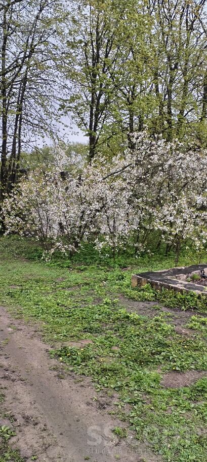 Platone, Jelgava un raj., Platones pag. — vienseta