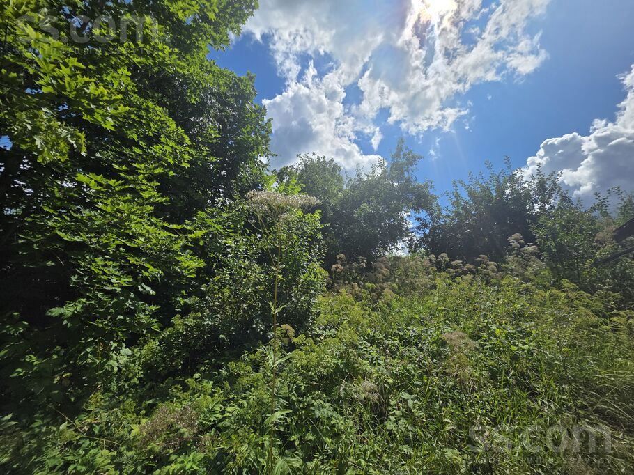 Belogrudova, Krāslava un raj., Grāveru pag. — vienseta
