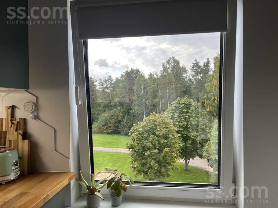 Torņa iela 5, Roja, Talsi un raj., Rojas pag. — dzivoklis