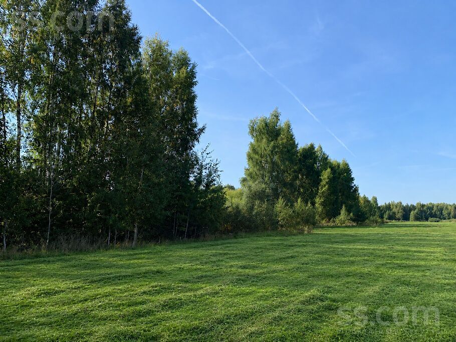 Dzilnu iela, Rūķi, Rīgas rajons, Salaspils l. t. — zeme