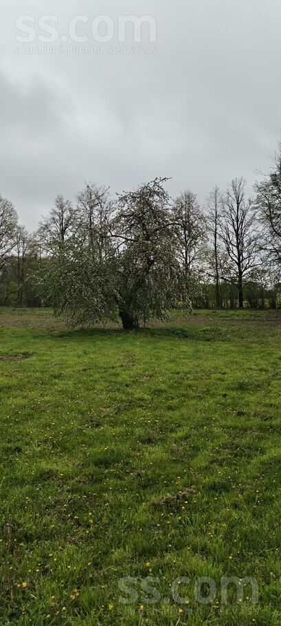 Platone, Jelgava un raj., Platones pag. — vienseta