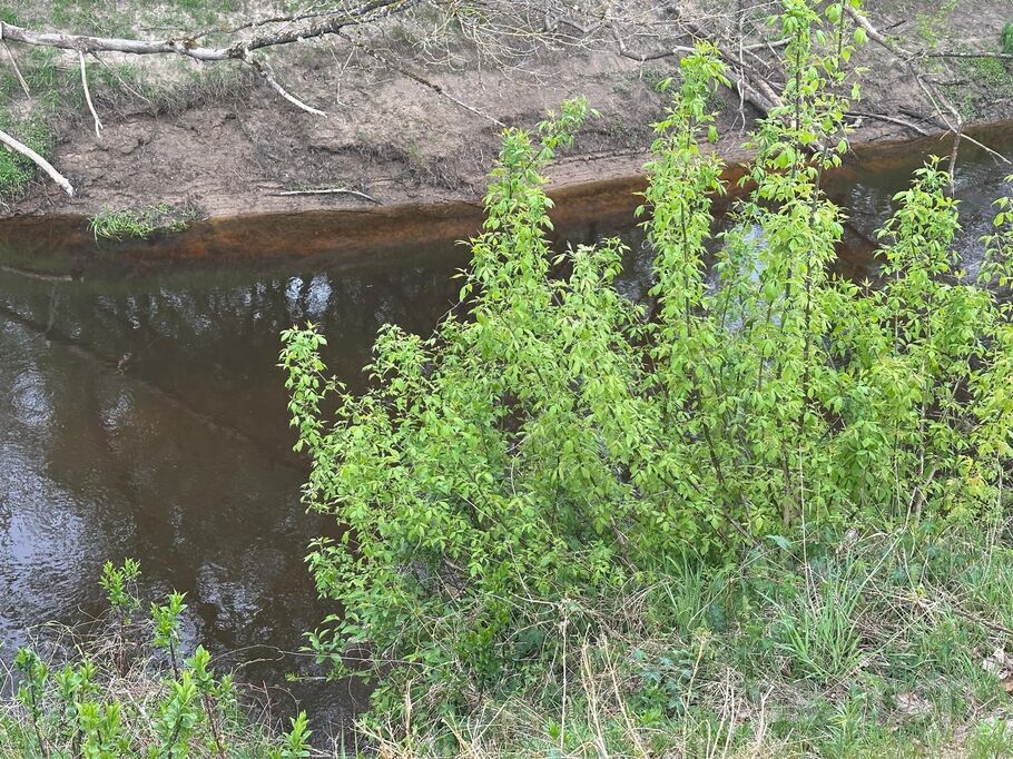 Kristapa iela, Ielejas, Rīgas rajons, Olaines pag. — zeme