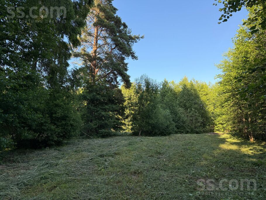Ziedu iela 2, Zvejniekciems, Rīgas rajons, Saulkrastu l. t. — zeme