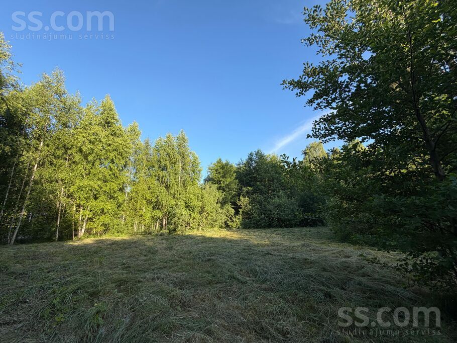 Ziedu iela 2, Zvejniekciems, Rīgas rajons, Saulkrastu l. t. — zeme