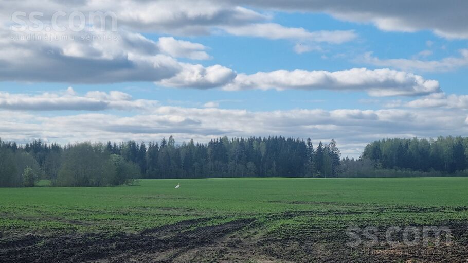 Medņi, Līkupēni, Saldus un raj., Rubas pag. — zeme
