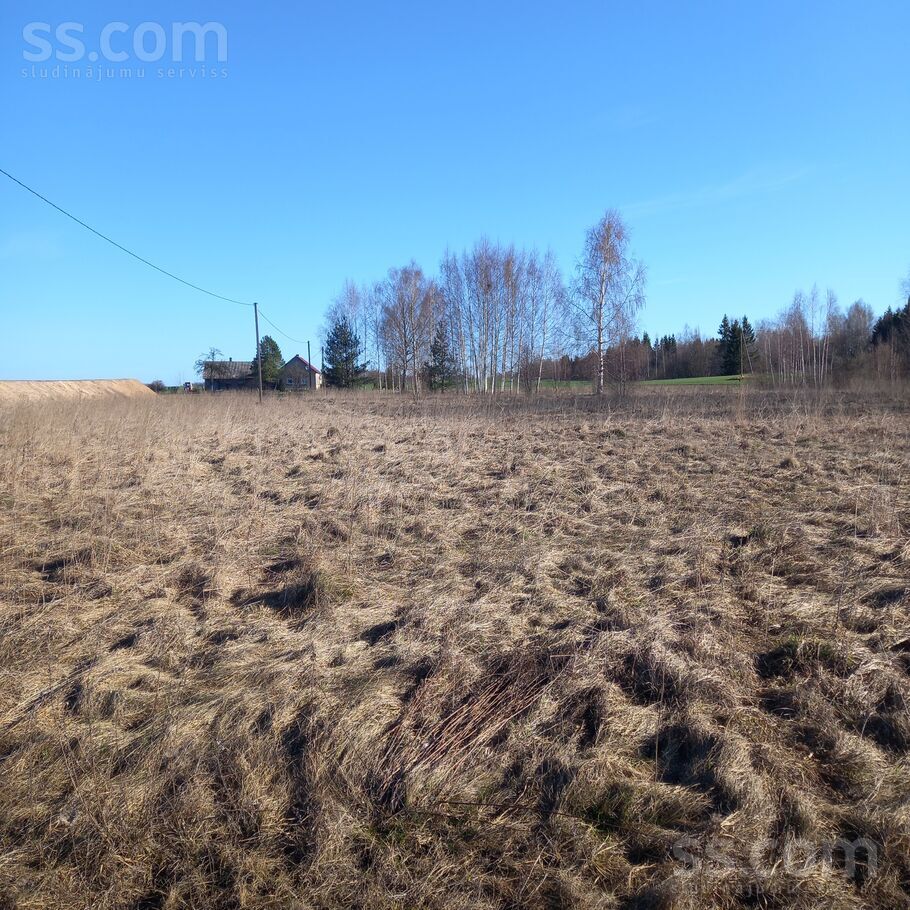 Net 1, Daugavpils un raj., Maļinovas pag. — zeme