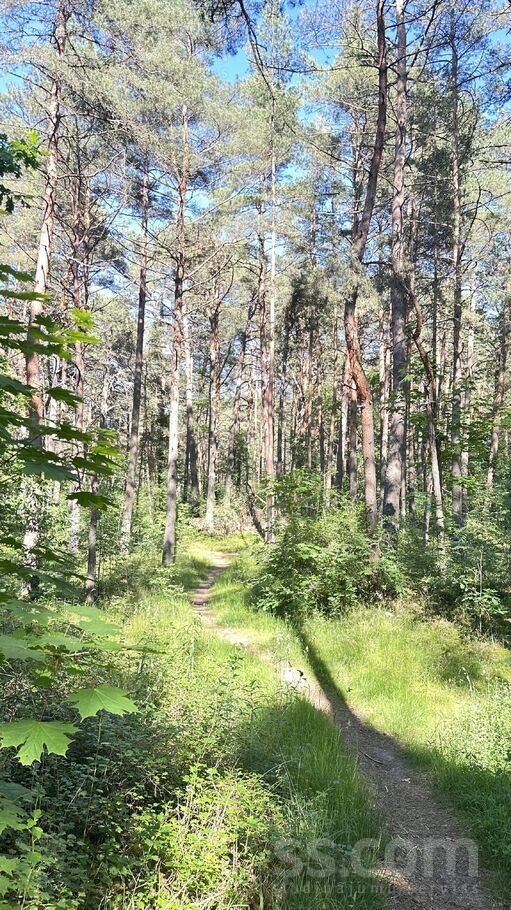 Mazirbes Prižbogi, Mazirbe, Talsi un raj., Kolkas pag. — zeme