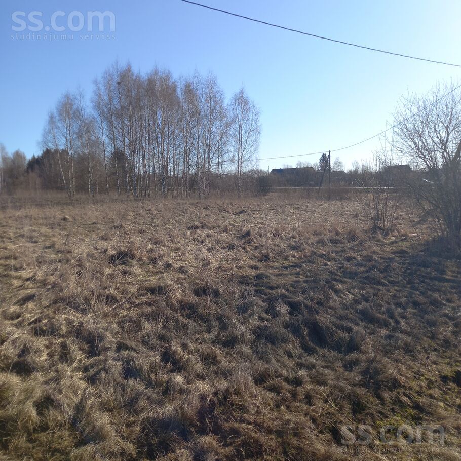 Net 1, Daugavpils un raj., Maļinovas pag. — zeme