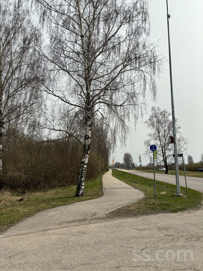 Rīgas iela, Rīgas rajons, Olaine — zeme