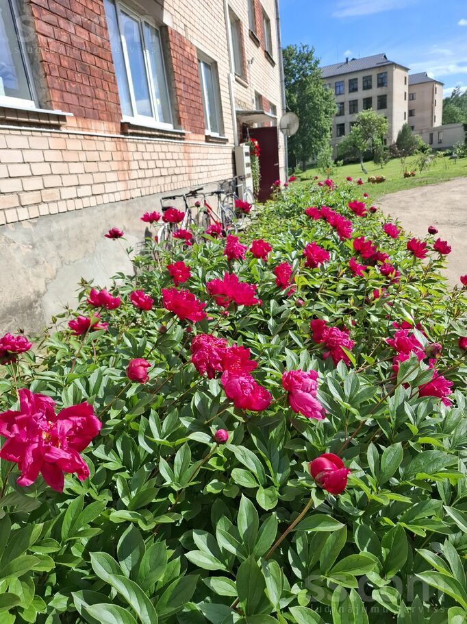 Podvāzes 4, Jēkabpils un raj., Jēkabpils — dzivoklis