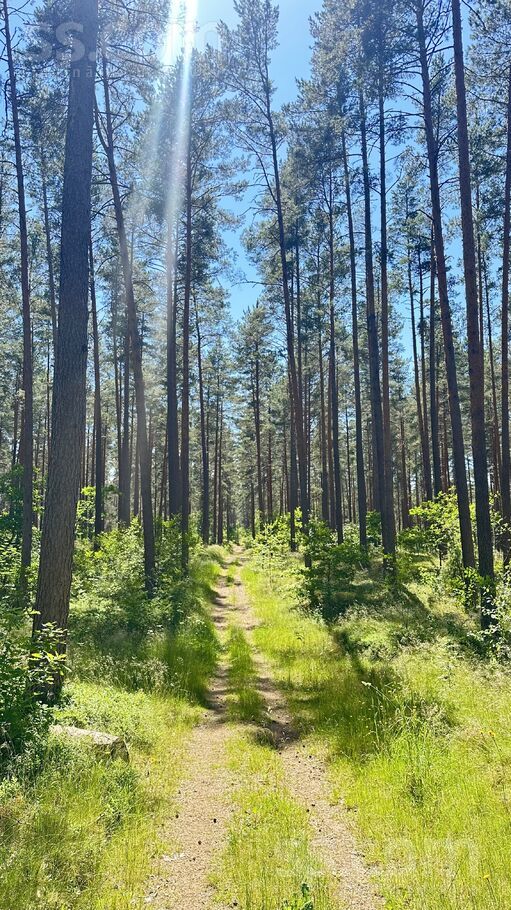 Mazirbes Prižbogi, Mazirbe, Talsi un raj., Kolkas pag. — zeme