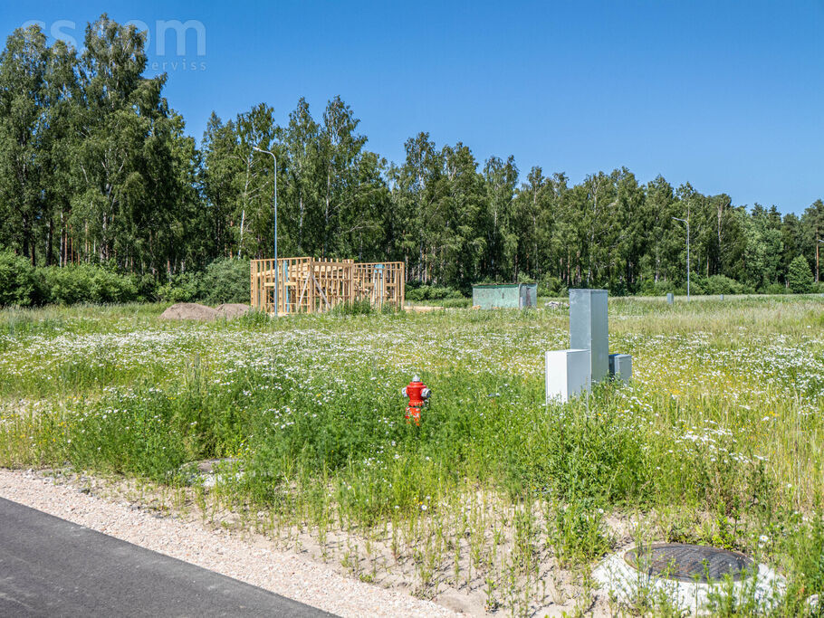 Vendijas iela, Grēnes, Rīgas rajons, Olaines pag. — zeme