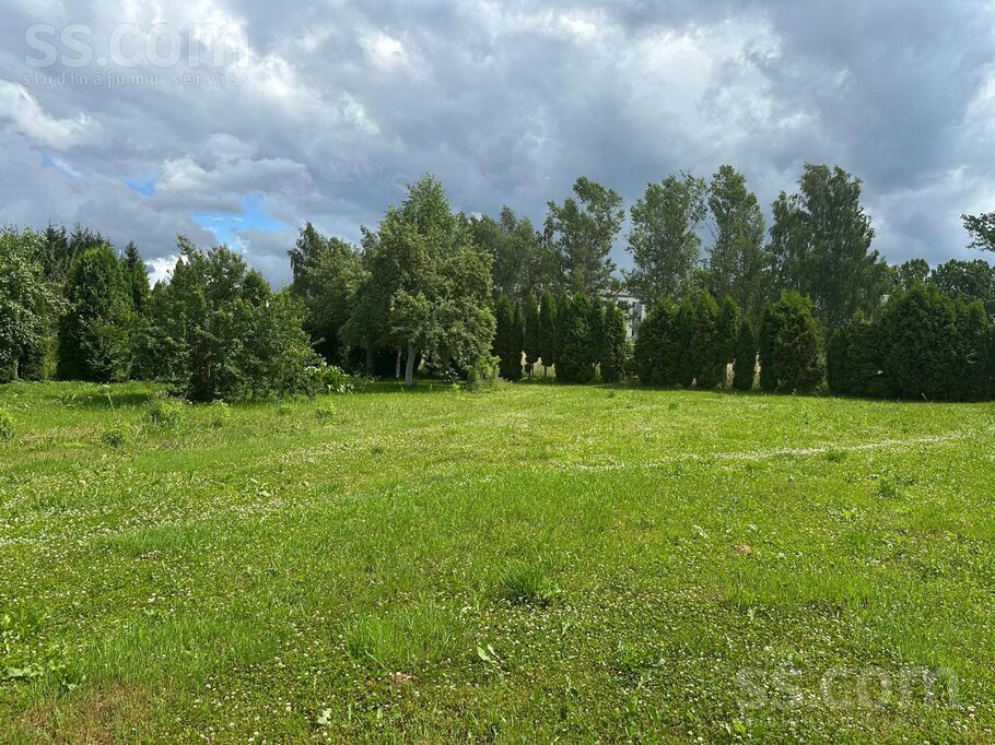 Priežu iela, Jaunolaine, Rīgas rajons, Olaines pag. — zeme
